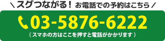 電話番号：03-5876-6222